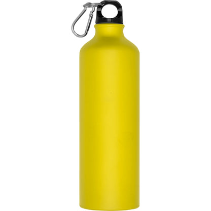 Trinkflasche aus Metall mit Karabinerhaken, 800ml THEODORE
