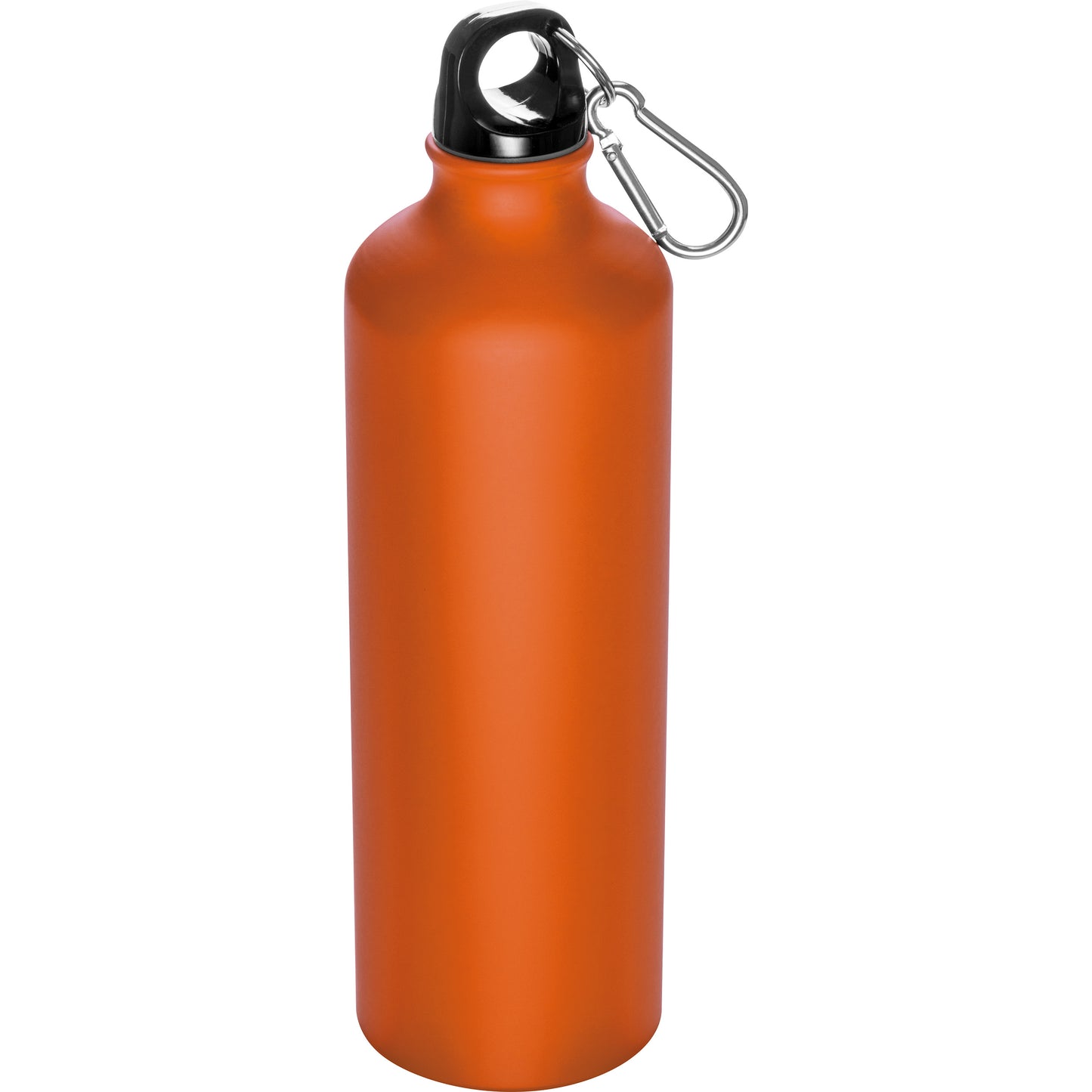 Trinkflasche aus Metall mit Karabinerhaken, 800ml THEODORE