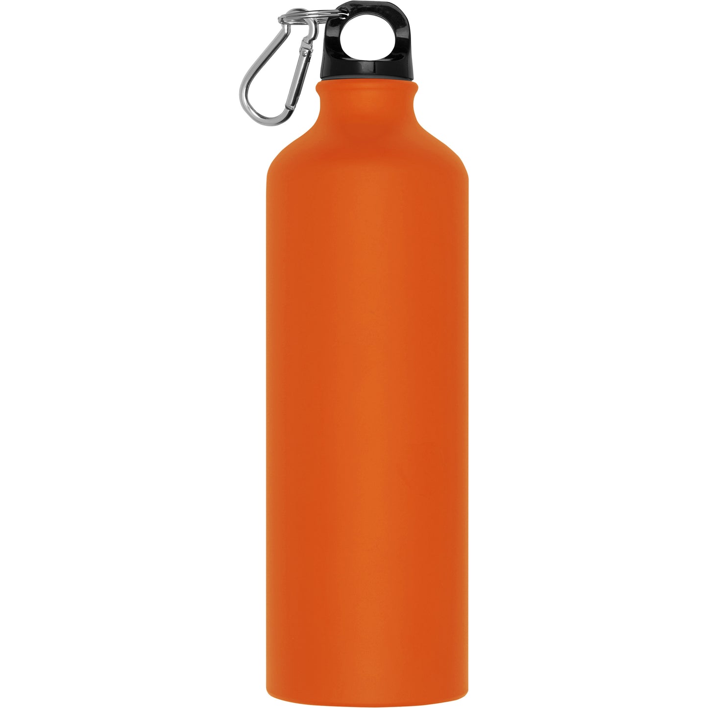 Trinkflasche aus Metall mit Karabinerhaken, 800ml THEODORE