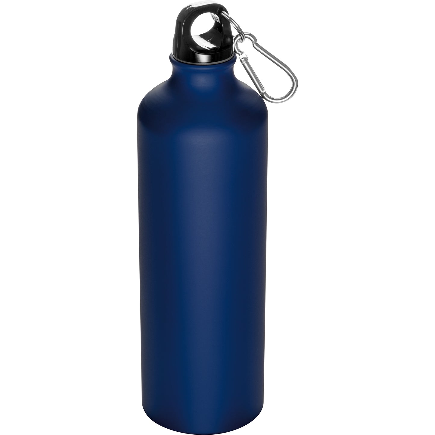 Trinkflasche aus Metall mit Karabinerhaken, 800ml THEODORE